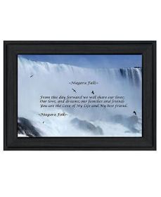 Niagara Falls by Trendy Decor 4U, Ready to Hang Framed Print, Black Frame