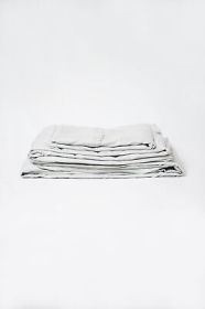 Omne Sleep 4-Piece Pewter Brushed Microfiber California King Hypoallergenic