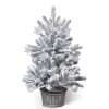 Decor 3ft White Frosted Christmas Trees with Pot