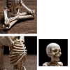 Bone Stretchers Skeletons in Yoga Poses Decorative Statue Set