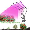 Grow Lights for Indoor Plants; iMounTEK 80W 80 LEDs Plant Lights with Red Blue Full Spectrum 10 Dimmable Level