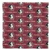 Florida State Seminoles Rotary Queen Bed In a Bag Set