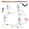 5.4 Feet Halloween Skeleton Life Size Realistic Full Body Hanging