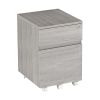 Techni Mobili Rolling Two Drawer Vertical Filing Cabinet with Lock and Storage; Grey