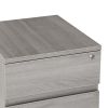 Techni Mobili Rolling Two Drawer Vertical Filing Cabinet with Lock and Storage; Grey