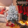 Decor 3ft White Frosted Christmas Trees with Pot