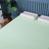 3" Memory Foam Bed Mattress Topper 79*59in