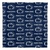 Penn State Nittany Lions Rotary Queen Bed In a Bag Set