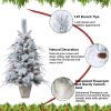 Decor 3.5ft Artificial Flocked Christmas Tree with Pine Cones for Christmas Decor