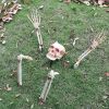 Halloween Decor Realistic Skull Hand Bone Skull Props Skull Ornaments